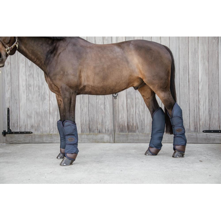 Transportbeschermers Kentucky Transportbeschermers Kentucky