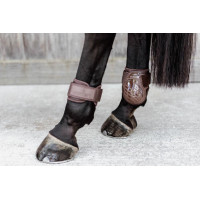 Beenbeschermers jonge paarden Kentucky Zwart