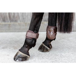 Beenbeschermers jonge paarden Kentucky Beenbeschermers jonge paarden Kentucky