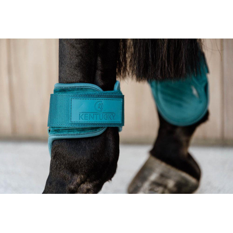 Beenbeschermers jonge paarden Velvet Kentucky