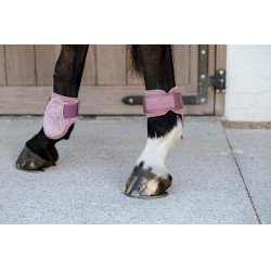 Beenbeschermers jonge paarden Velvet Kentucky Oudroze