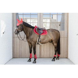 Beenbeschermers jonge paarden Velvet Kentucky Rood Beenbeschermers jonge paarden Velvet Kentucky Rood