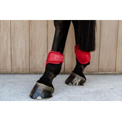 Beenbeschermers jonge paarden Velvet Kentucky Rood Beenbeschermers jonge paarden Velvet Kentucky Rood