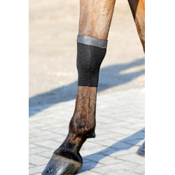 Sok Tendon Grip Gel Kentucky