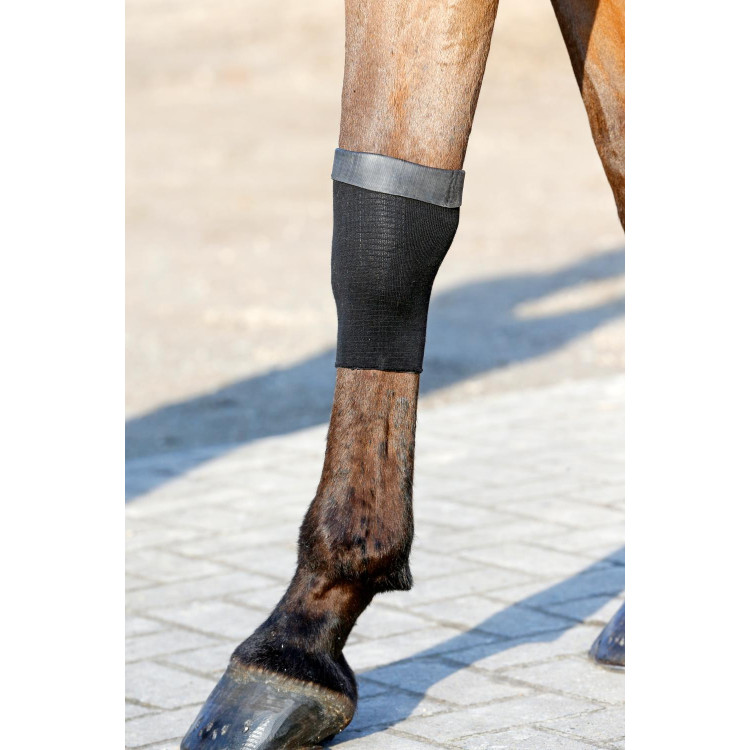 Sok Tendon Grip Gel Kentucky