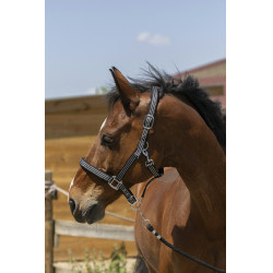 Halster Norton Zari Zwart Halster Norton Zari Zwart