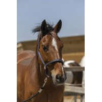 Halster Norton Zari Marineblauw