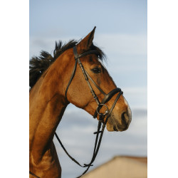 Bridon Riding World gecombineerde gecombineerde neusriem Bridon Riding World gecombineerde gecombineerde neusriem