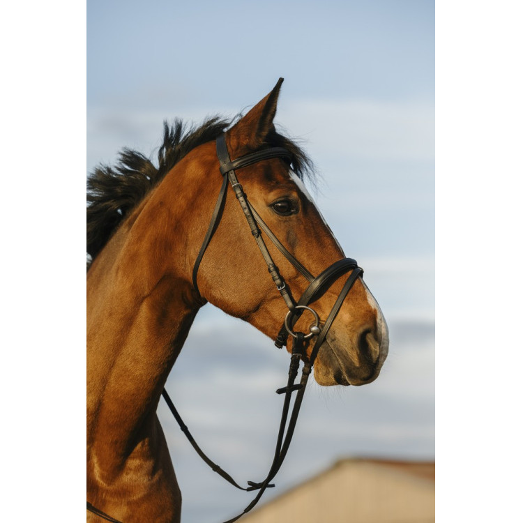 Bridon Riding World gecombineerde gecombineerde neusriem Bridon Riding World gecombineerde gecombineerde neusriem