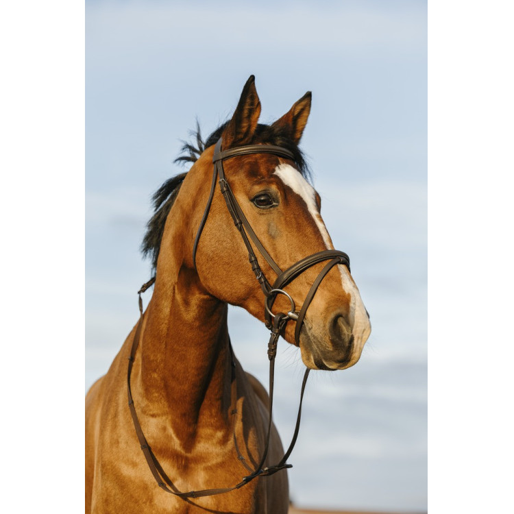 Bridon Riding World gecombineerde gecombineerde neusriem Bridon Riding World gecombineerde gecombineerde neusriem