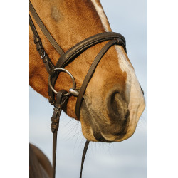 Bridon Riding World gecombineerde gecombineerde neusriem Bridon Riding World gecombineerde gecombineerde neusriem