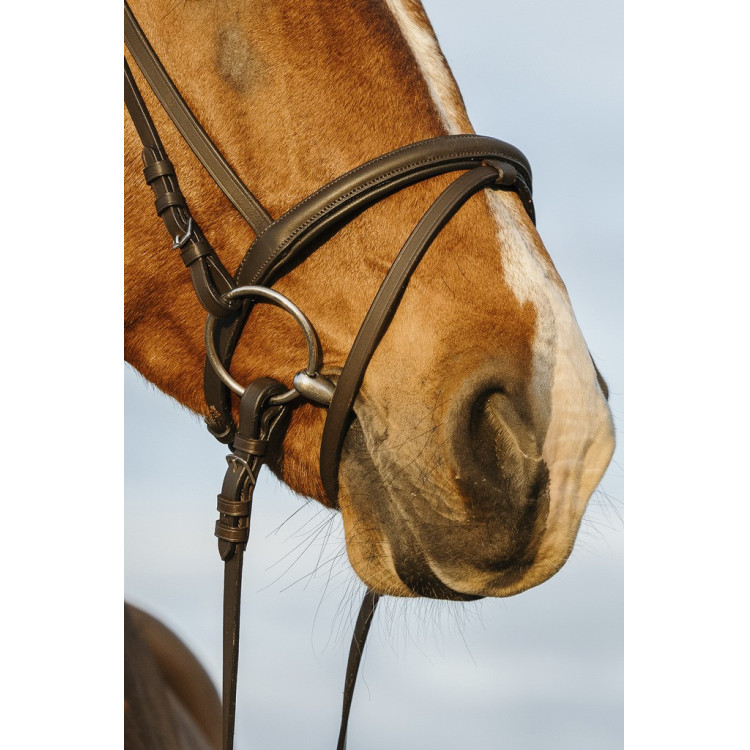 Bridon Riding World gecombineerde gecombineerde neusriem Bridon Riding World gecombineerde gecombineerde neusriem