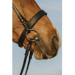 Bridon Riding World Neusriem breed Bridon Riding World Neusriem breed