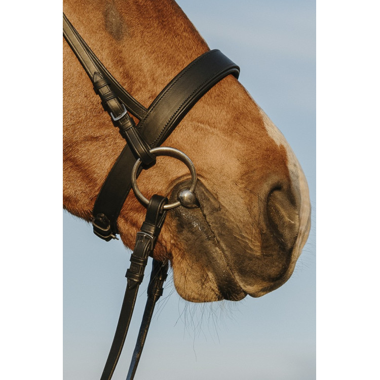 Bridon Riding World Neusriem breed Bridon Riding World Neusriem breed