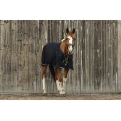 Equithème Micro mesh overhemd Equithème Micro mesh overhemd