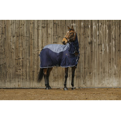 Unisex overhemd Equithème