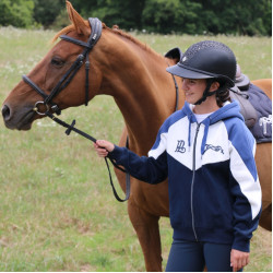 Sweat New Twister Pénélope Marineblauw