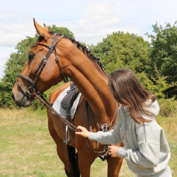 Sweatshirt Pénélope Chilly Grijs