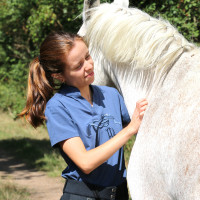 Polo Iliana Pénélope Blauw / grijs