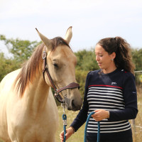 Trui Pénélope x Saint James Maelle Marine / écru / rood Motieven