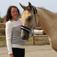 Trui Pénélope x Saint James Maelle