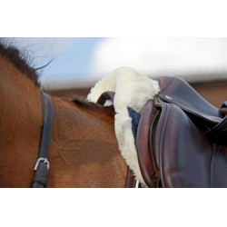 Schokdemper schaap Absorb Kentucky Marine Marineblauw