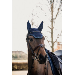 Glitter Stone Bonnet Kentucky Glitter Stone Bonnet Kentucky