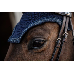 Glitter Stone Bonnet Kentucky Glitter Stone Bonnet Kentucky