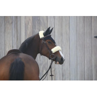Kentucky bonnet Zwart Kentucky bonnet Zwart
