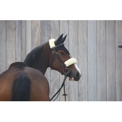 Kentucky bonnet Zwart