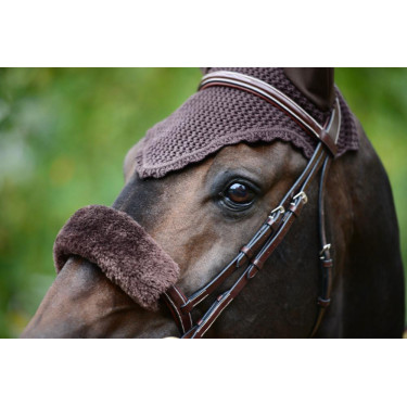 Kentucky bonnet Kentucky bonnet