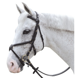 Bridon surpiqué croisé Chetak