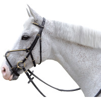 Bridon clencher croisé Chetak Bridon clencher croisé Chetak