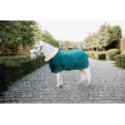 Presentatiehoes Velvet Kentucky Smaragd Groen