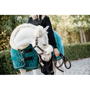 Presentatiehoes Velvet Kentucky Smaragd Groen