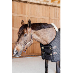 Uitbreiding van gevoerde borst vegan schapen Kentucky Zwart