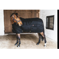 Staldeken Classic Kentucky