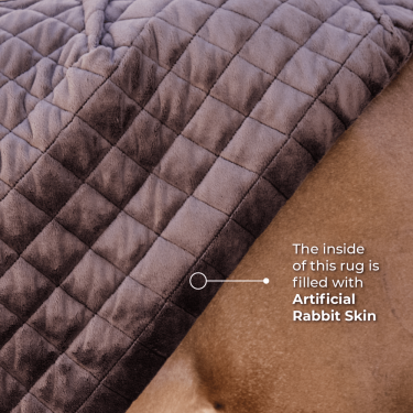 Staldeken Kentucky Zwart Staldeken Kentucky Zwart