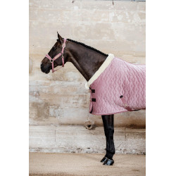 Presentatiehoes Velvet Kentucky Oudroze Presentatiehoes Velvet Kentucky Oudroze