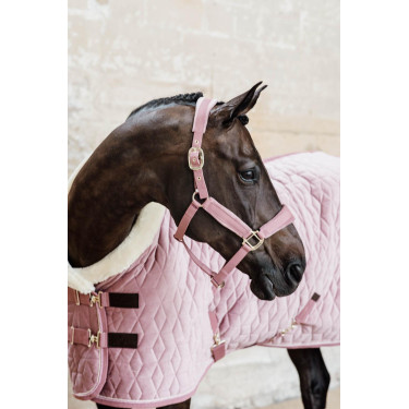 Presentatiehoes Velvet Kentucky Oudroze Presentatiehoes Velvet Kentucky Oudroze