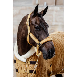 Presentatiehoes Velvet Kentucky Presentatiehoes Velvet Kentucky
