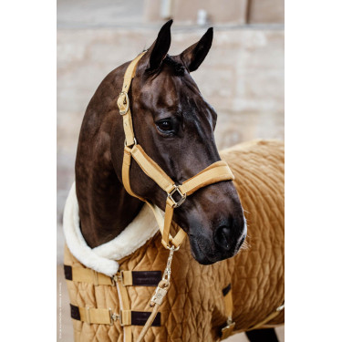 Presentatiehoes Velvet Kentucky Presentatiehoes Velvet Kentucky