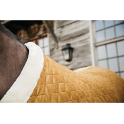 Presentatiehoes Velvet Kentucky Presentatiehoes Velvet Kentucky