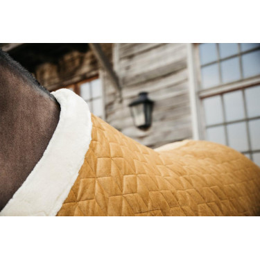 Presentatiehoes Velvet Kentucky Presentatiehoes Velvet Kentucky