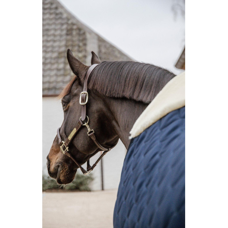 Staldeken Comfort Kentucky Staldeken Comfort Kentucky