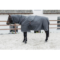 Paardenregenjas Hurricane met beugelgaten Kentucky