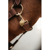 Kentucky Medaille Goud