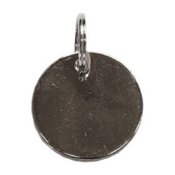 Kentucky Medaille Zilver Kentucky Medaille Zilver