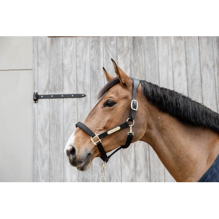 Anatomisch Halster Nylon Kentucky