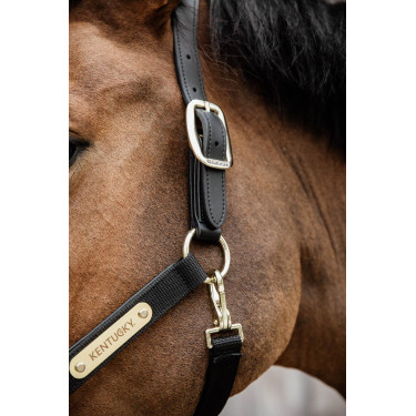 Anatomisch Halster Nylon Kentucky Anatomisch Halster Nylon Kentucky